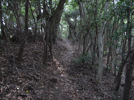 20140426hike (337)